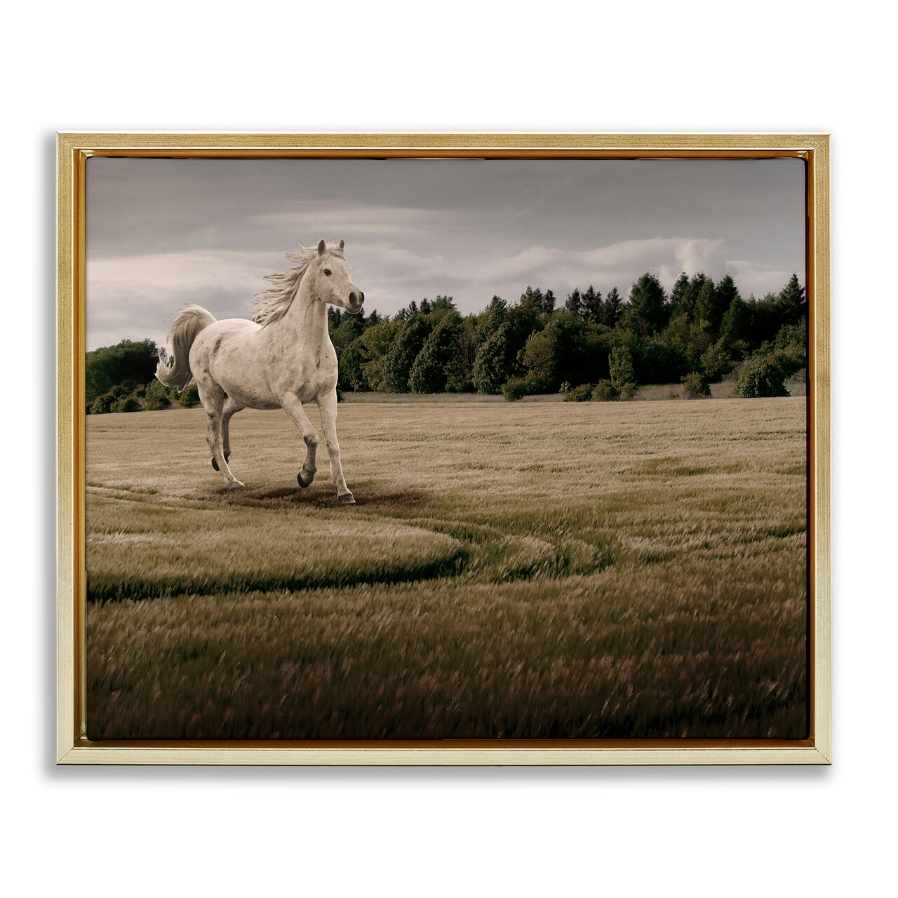 Stupell Industries Galloping Through Field Horse Floating Frame, design by Marcus Prime